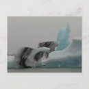 Search for ecosystem postcards Cold