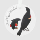 Search for blackbird christmas tree decorations Nature