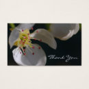 Search for businesscard cards Floral