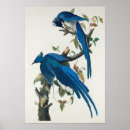 Search for columbia art Vintage