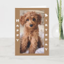 Search for walker photography Veterinarian