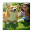 Search for pet photo tiles Pets
