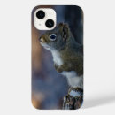 Search for squirrel cases Grey