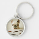 Search for bulldog key rings Pet