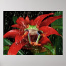 Search for eyeball posters Red