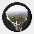 Search for domain Landscape