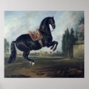 Search for performance horses posters Riding