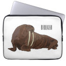 Search for tusks cases Walrus