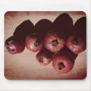 Search for autumn fruits electronics Food
