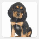 Search for puppy stickers Mammal