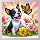 Search for boston terrier posters Flowers