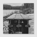 Search for forgotten Nature