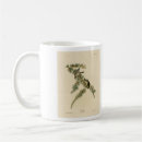 Search for finch mugs Illustration