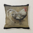 Search for cockerel Fowl