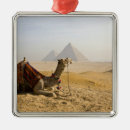 Search for camel christmas decor Traditional