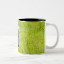 Search for cows in field mugs Outdoors