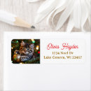 Search for kitten return address labels Christmas tree