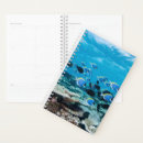 Search for dive office supplies Underwater