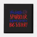 Search for mullets magnets Stars and bars