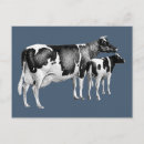Search for cattle farming postcards Vintage