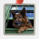 Search for portland oregon christmas tree decorations Usa