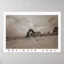 Search for delicate posters Desert