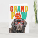Search for newfoundland dog cards Dogs