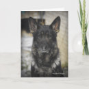 Search for gsd cards Dogs