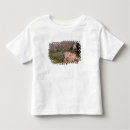 Search for pillar clothing Europe