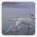 Search for blurred motion stickers Outdoors