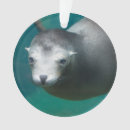 Search for sea lion christmas tree decorations Mammal