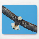 Search for the bald eagle mousepads Predator