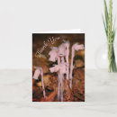 Search for pipe cards Floral