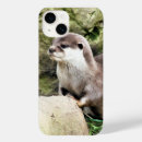 Search for the otter electronics Nature