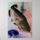 Search for catfishing posters Nature