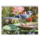 Search for bluejays Flowers