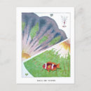 Search for vintage great barrier reef postcards Ocean