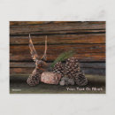 Search for life postcards Rustic
