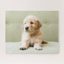 Search for animal puzzles Pets