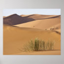 Search for sand dune posters Morocco
