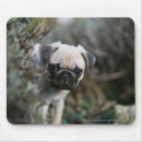 Search for headshot mousepads 12 weeks