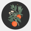Search for night magic stickers Celestial