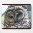 Search for owl mousepads Nature