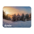 Search for frozen magnets Snow