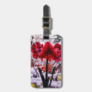 Search for amaryllis accessories Flowers
