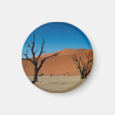 Search for dead magnets Namibia