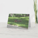 Search for happy birthday saxophone Funny