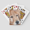 Search for golden retriever playing cards Pet