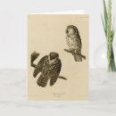 Search for owl bird cards Illustration