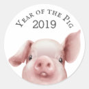 Search for pigs Pork